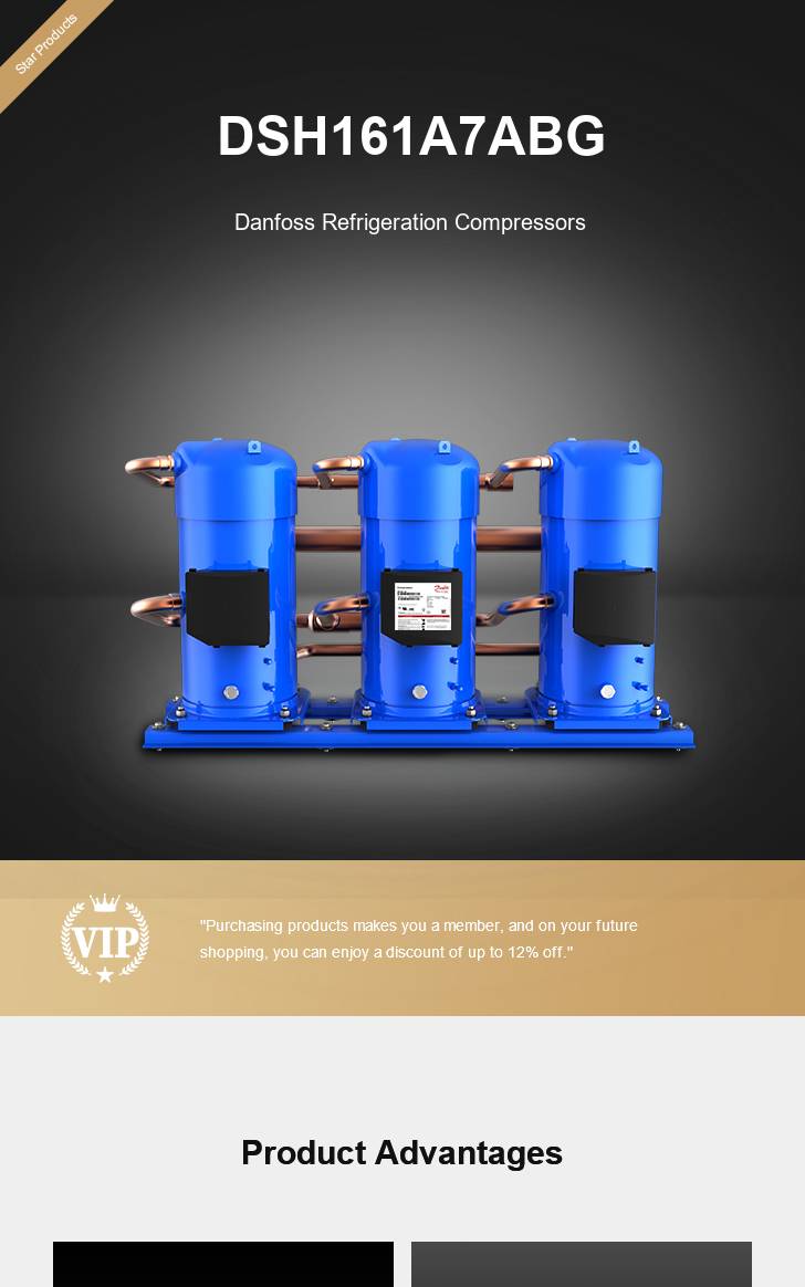 Danfoss Compressor DSH161A7ABG, technical parameters pdf, structure diagram